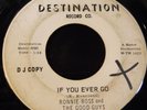 CHICAGO TEEN GARAGE RONNIE ROSS & GOOD GUYS IF YOU EVER GO DISTINATION WL PROMO