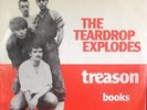 THE TEARDROP EXPLODES JULIAN COPE TREASON BOOKS DUTCH 7