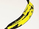 Velvet Underground & Nico-Andy Warhol  Vinyl / 12