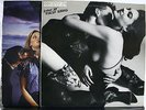 VINYL RECORD 2 SCORPIONS ANIMAL MAGNETISM LOVE AT FIRST STING