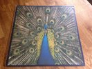 The Bluetones LP Expecting to fly 1996 Paradox 1st press NUMBERED & UNPLAYED NEW