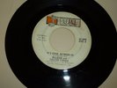 NORTHERN SOUL 45 RPM RECORD - ALLISON AND CALVIN TURNER - LULU 9702