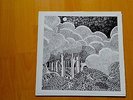 Shide & Acorn – Under The Tree lp ( ltd reissue )