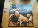 Interpol - Our Love To Admire Vinyl LP Record