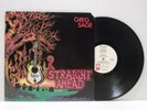 GREG SAGE STRAIGHT AHEAD LP RARE ORIG. U.S. 1985 ENIGMA 72007 WIPERS