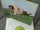 Pink Floyd , Lp--Atom Heart Mother , Hör Zu 297 , Excellent