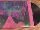 SIGNED Dinosaur Jr Give a Glimpse of What Yer Not purple vinyl lp JAG285 NM
