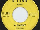 Hear - Rare Garage 45 - The Fugitives - A Fugitive - D-Town Records # 1034