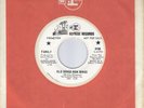 FAMILY  Old Songs New Songs / Hey Mr Policeman  rare promo 45 from 1968
