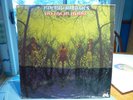 AMERICAN BLUES DO THEIR THING Uni 73044 pre- ZZ TOP