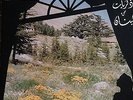 Arabic Record/Lebanon Souvenir