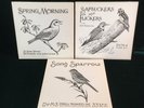 3 bird song vinyl LPs Sapsuckers and Flickers, Song Sparrow and Spring Morning