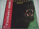 BLACKFOOT-Tomcattin' JAPAN 1st.Press w/OBI Iron Maiden AC/DC Uriah Heep Axe