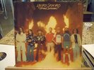 Lynyrd Skynyrd-STREET SURVIVORS-LP-MCA 0062.095-German-1977-Laminated Cover=NM