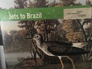 Jets To Brazil Four Cornered Night LP Jawbreaker