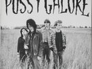 PUSSY GALORE Jon Spencer 