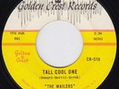 WAILERS Tall Cool One STUNNING COND garage rockabilly 45 Roadrunner TITTYSHAKER