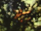 PINK FLOYD - Obscured By Clouds (2016 REISSUE) VINYL LP NEW (23RD SEPT)