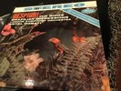 TAS ANTAL DORATI / Respighi The Birds / Original Mercury SR 90153
