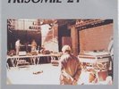 vinyl lp 33t TRISOMIE 21 - RAW MATERIAL
