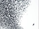 Wilco - Sky Blue Sky (180 Gram Vinyl) (2LP W/Bonus CD)