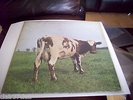 PINK FLOYD atom heart mother  gatefold lp 1971 2nd  press SHVL 781