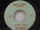 Rare Instro Rocker 45 Nomads Icky Poo B/W Last Summer Day stray cat strut