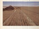 Kuhn Steve, Non Fiction - US ECM 1124 LP
