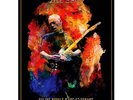 david gilmour 2016 live poster  arc et senans france-rattle that lock tour