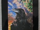 The Stranglers The Raven - 3D Sleeve vinyl LP - Rare withdrawn insert image.