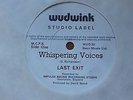 Last Exit - Whispering Voices 1975 UK 45 THE POLICE STING PRIVATE PRESSING