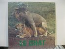Le Chat-Pussycat-Rare Original 1983 Italo Disco 12
