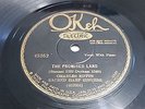 78 RPM Charles Butts Sacred Harp Singers Okeh 45252 The Promised Land 1928