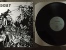 Dinosaur (pre Jr.) Debut LP Homestead 1985. HMS 015 Blue Label