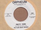 PLUM BEACH INCIDENT: Pretty Thing 45 Orpheum sunshine hear