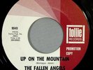 HEAR IT 60's Doo-Wop 45 rpm The Fallen Angels 