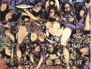 TRAGICALLY HIP FULLY COMPLETELY (180 G/DLX/RM/WITH POSTER/WITH DL/GF) VINYL