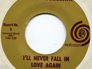 Bobby Freeman  **  I ' ll Never Fall In Love Again   **    AUTUMN