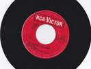 THE DYNAMICS----YOU MAKE ME FEEL SO GOOD---RCA