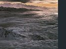 SANTANA Moonflower 2x 180gm Vinyl LP 2012 Gatefold NEW & SEALED Music On Vinyl