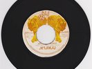ACIAMAJ - JAH CHOSEN PEOPLE - BIG CAT ( VERY RARE WICKED ROOTS 7 )