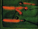 Vitous Miroslav/Group-Miroslav Vitous G (180G Vinyl)  (US IMPORT)  VINYL NEW