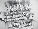 GOMEZ-WHATEVERS ON YOUR MIND (DLX)  (US IMPORT)  VINYL LP NEW