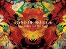 Band Of Skulls - Baby Darling Doll Face Honey [Vinyl New]