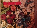 Wild Honey The Beach Boys Mono stereo ST2859  Capitol LP RARE MONO vinyl