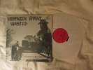 Vernon Wray Wasted LP OG EX+ in SHRINK private press Link Wray Tucson AZ Psych