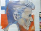 DAVID BOWIE FASHIONS 10 X PICTURE DISCS IN PLASTIC WALLET RARE bow100