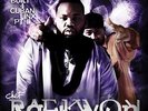Pt. 2-Only Built 4 Cuban Linx - Raekwon (2016, Vinyl NEW)