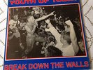 Youth Of Today Break Down The Walls 1987 First Pressing Wishingwell Records NYHC