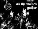 Forgotten Woods - As The Wolves Gather, 1994 (Nor), LP